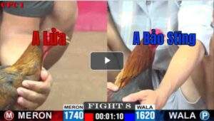 Trận 8 CPC1 7/7/2025