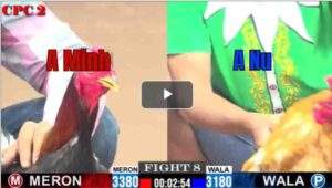 Trận 8 CPC2 2/7/2025