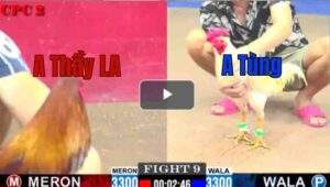 Trận 9 CPC2 13/7/2025