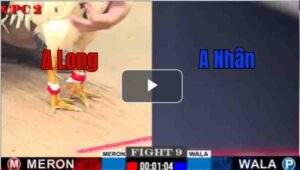 Trận 9 CPC2 30/7/2025