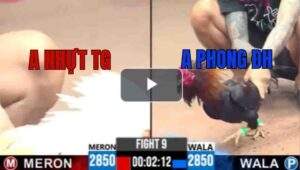 Trận 9 CPC3 26/7/2025