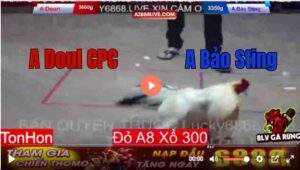 Trận 10 Tonhon 13/8/2025