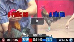 Trận 12 CPC3 5/8/2025