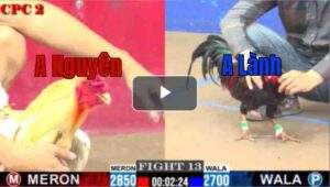 Trận 13 CPC2 1/8/2025