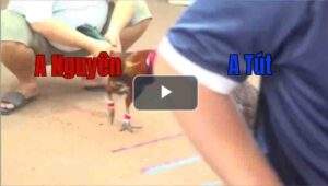 Trận 16 CPC2 1/8/2025