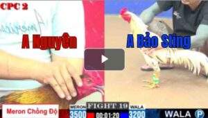 Trận 19 CPC2 1/8/2025