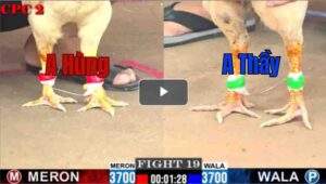 Trận 19 CPC2 3/8/2025