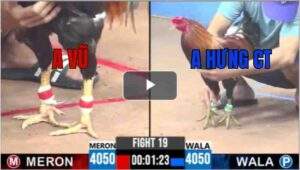 Trận 19 CPC3 5/8/2025