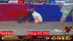 Trận 2 Tonhon 13/8/2025