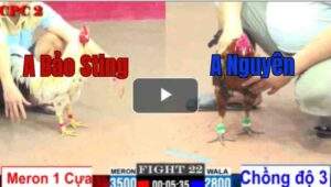 Trận 22 CPC2 1/8/2025