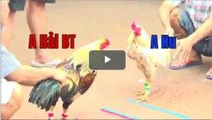 Trận 3 CPC2 6/8/2025