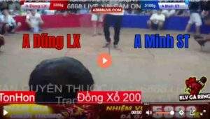 Trận 3 Tonhon 13/8/2025