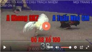 Trận 38 Tonhon 27/8/2025