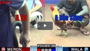 Trận 39 CPC2 6/8/2025