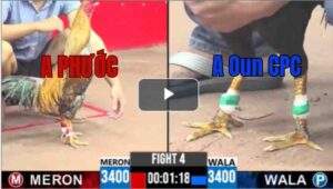 Trận 4 CPC3 5/8/2025