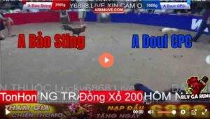 Trận 4 Tonhon 13/8/2025