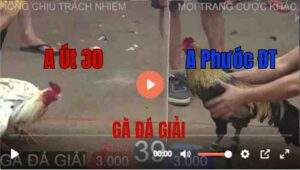 Trận 40 Tonhon 27/8/2025