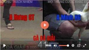 Trận 41 Tonhon 27/8/2025