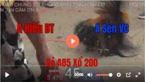 Trận 45 Tonhon 27/8/2025