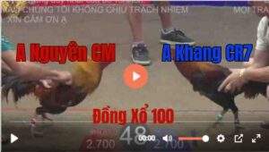 Trận 48 Tonhon 27/8/2025