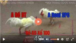 Trận 49 Tonhon 2782025