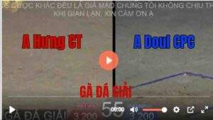 Trận 55 Tonhon 27/8/2025