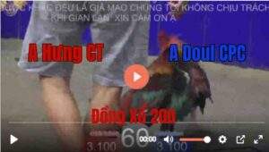 Trận 60 Tonhon 27/8/2025