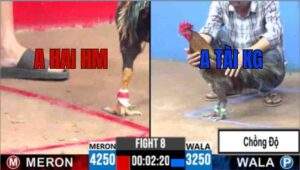 Trận 8 CPC3 23/6/2025