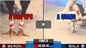 Trận 9 CPC3 5/8/2025