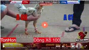 Trận 9 Tonhon 13/8/2025