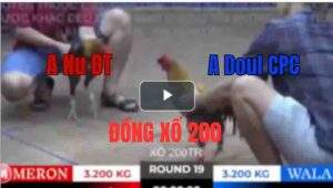 Trận 19 Tonhon 27/9/2025