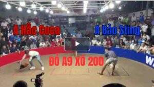 Trận 38 Tonhon 27/9/2025