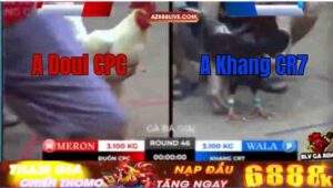 Trận 46 Tonhon 12/9/2025