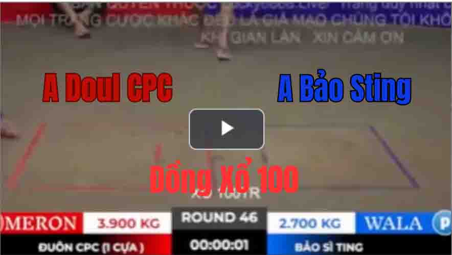 Trận 46 Tonhon 27/9/2025