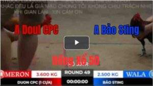 Trận 49 Tonhon 27/9/2025