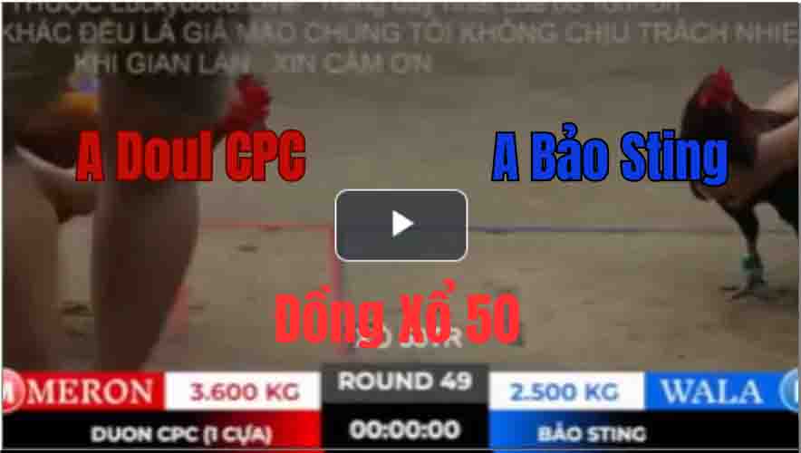 Trận 49 Tonhon 27/9/2025