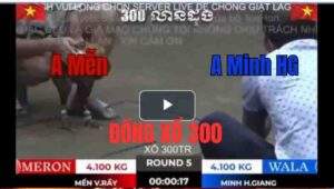 Trận 5 Tonhon 27/9/2025