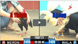 Trận 21 CPC6 13/10/2025