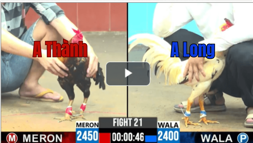 Trận 21 CPC6 13/10/2025