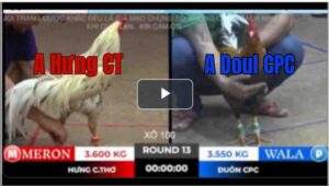 Trận 13 Tonhon 18/10/2025