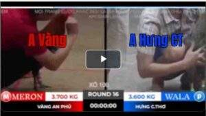 Trận 16 Tonhon 18/10/2025