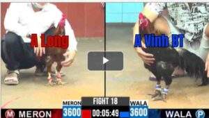 Trận 18 CPC6 13/10/2025