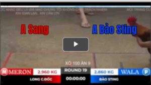 Trận 19 Tonhon 18/10/2025