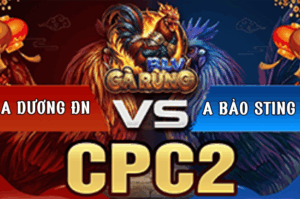 Trận 26 Bồ CPC2 13/3/2026 - Bảo Sting Chồng Độ Chấp Hơn 2 Chấm Gà Xổ 500 Triệu